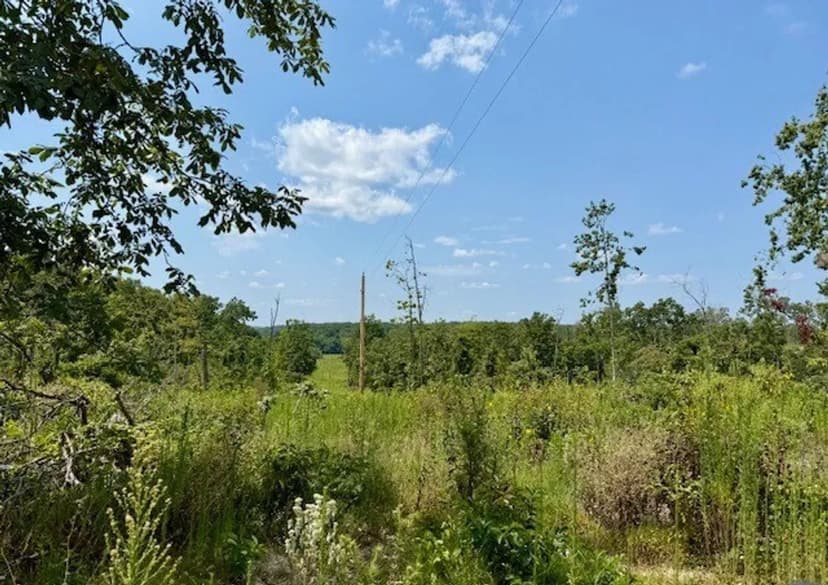 190 Acres, Spring, Deer Turkey Bear Hunting Ground Douglas County