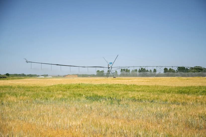 Henry’s Fork Snake River Ranch