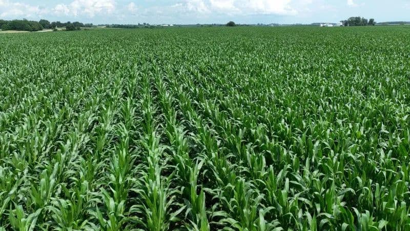 Tract 2 IA-92 HWY, Ainsworth, IA 52201