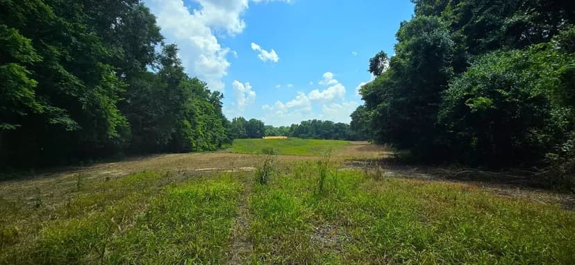 45 AC BLUFF OVER SUNK LAKE WITH AG FIELDS AND CREEK