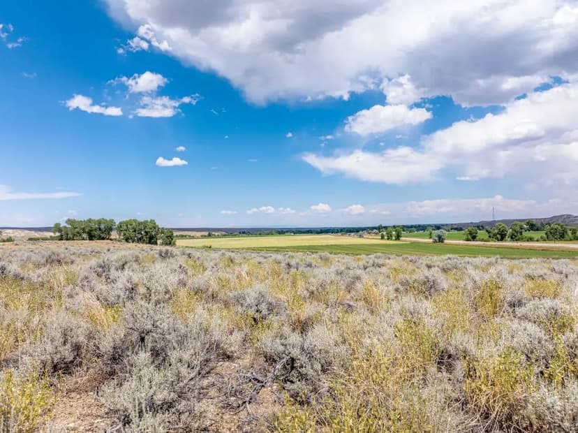 Van Vleet Ln. - 4.49 Acres