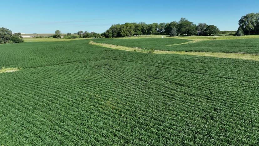 Tract 3 IA-92 HWY, Ainsworth, IA 52201