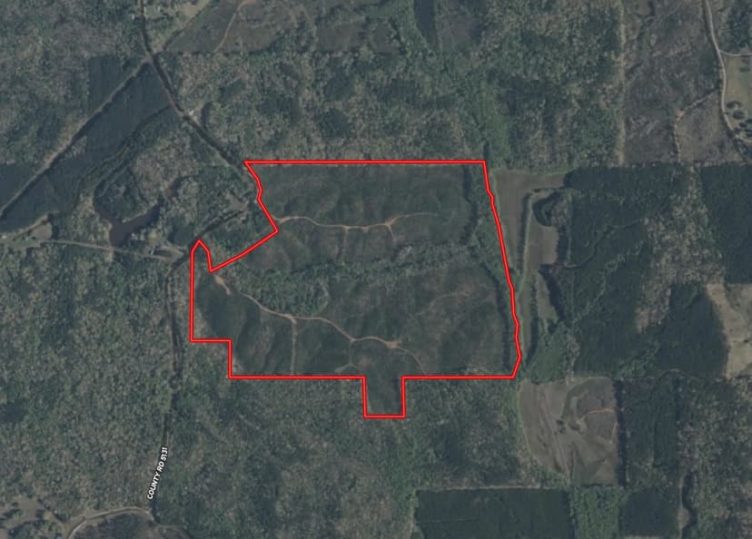 219 Acres in Prentiss County, MS 
