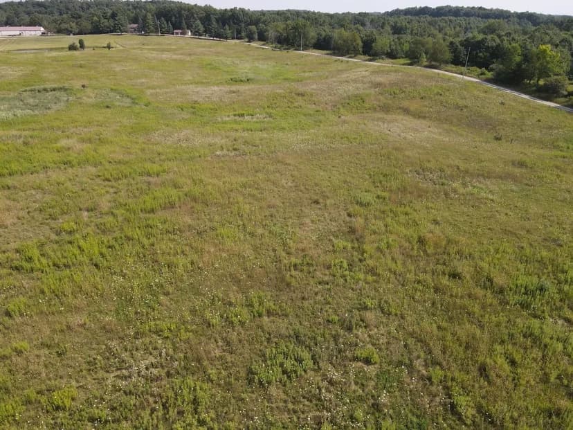 15.07 +/- ACRES / DIMMERS RD, READING MI / POTENTIAL BUILDING SITE / LAND FOR SALE