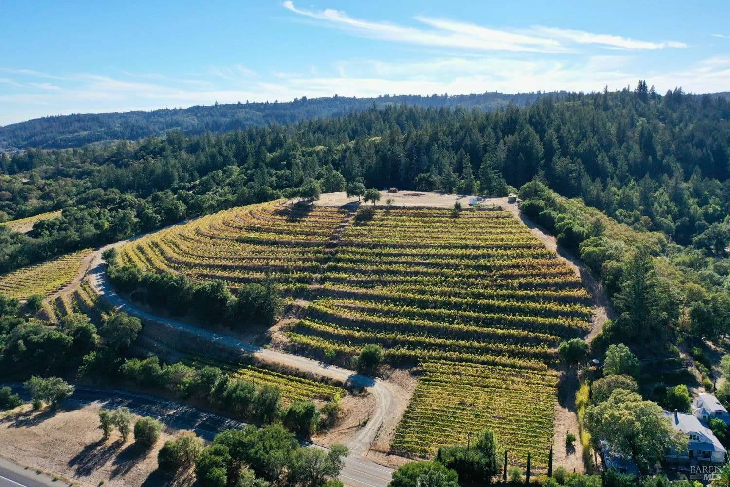 Vacant Land in Geyserville - Geyserville, California, 95441