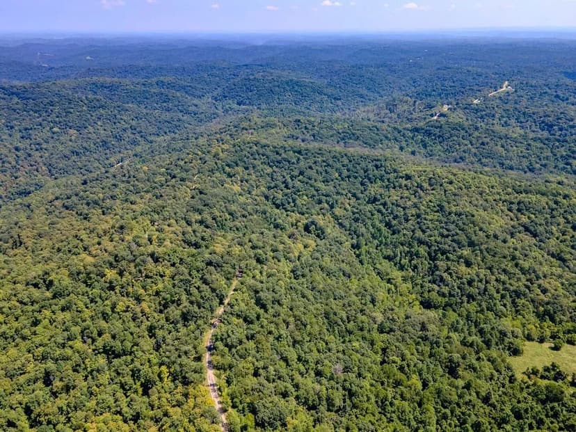 Zion Ridge Rd Tract 19 - 49 acres