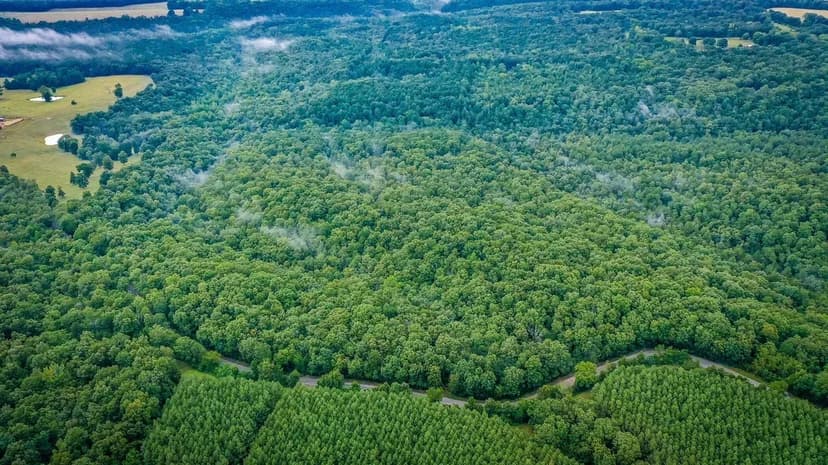 Long Branch 40 acres