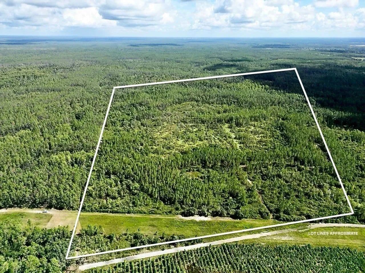 Lafayette County 40 - land for sale