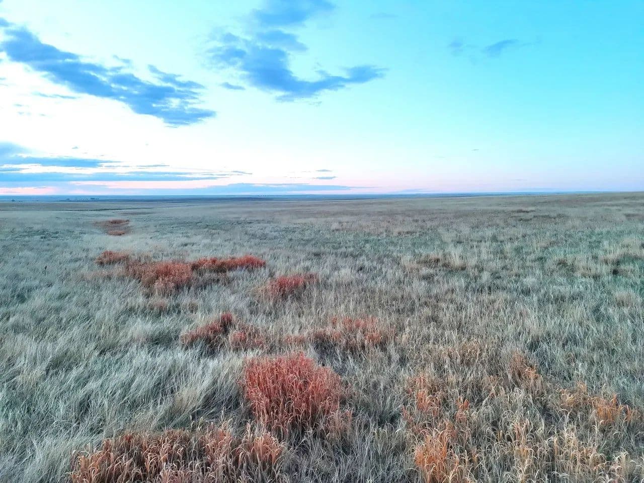 Affordable Parcel of CRP with Good Road Frontage near Denver Metro - land for sale