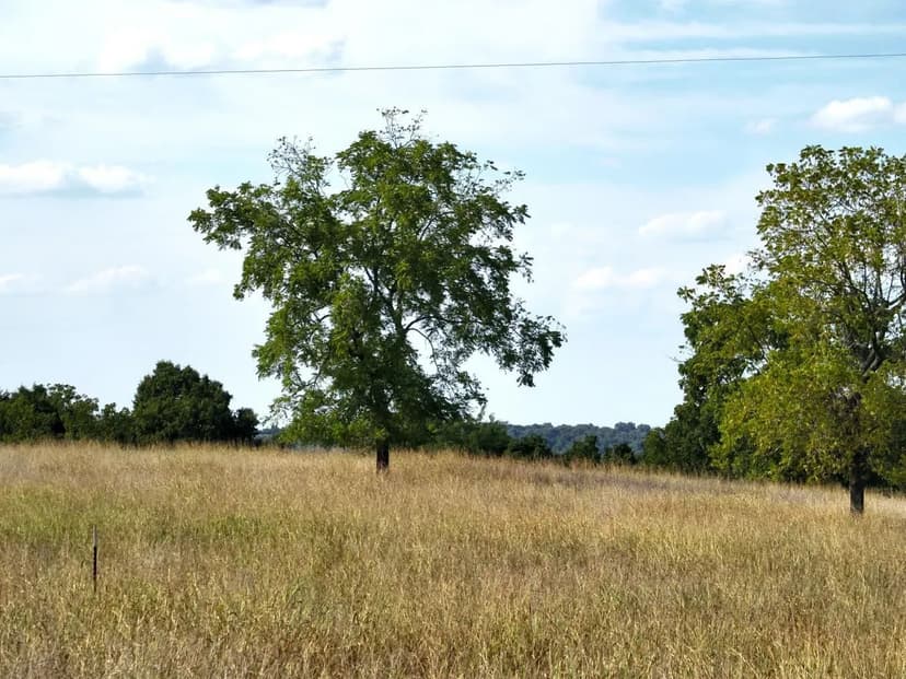 Grassy Gap Rd. - Harrison, Arkansas