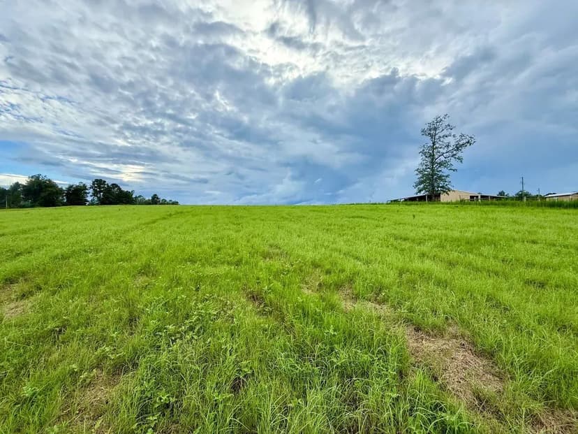 Cattle Farm on Allmon Rd