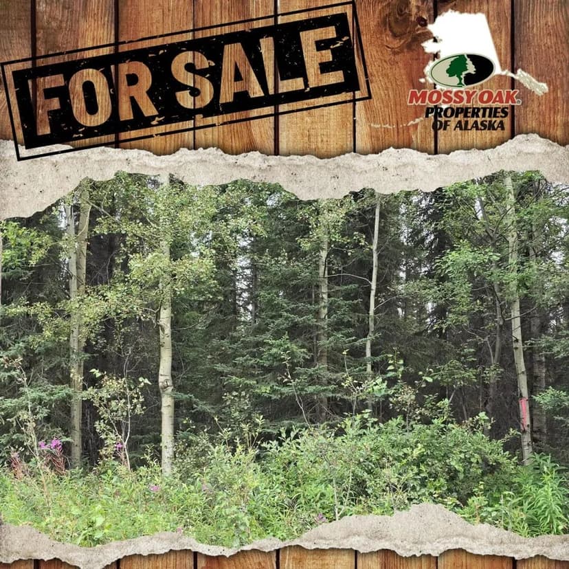 1.05 acre lot Browns Lake Rd, Funny River