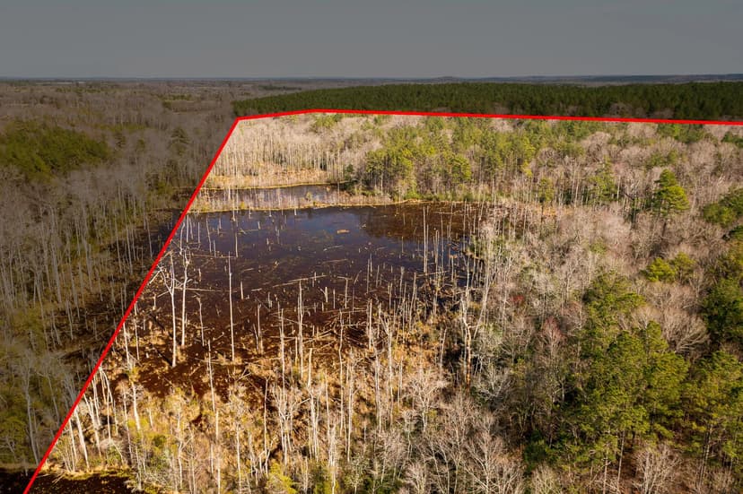 HOB Knob Farm - 94 Acres Wilkinson County, GA