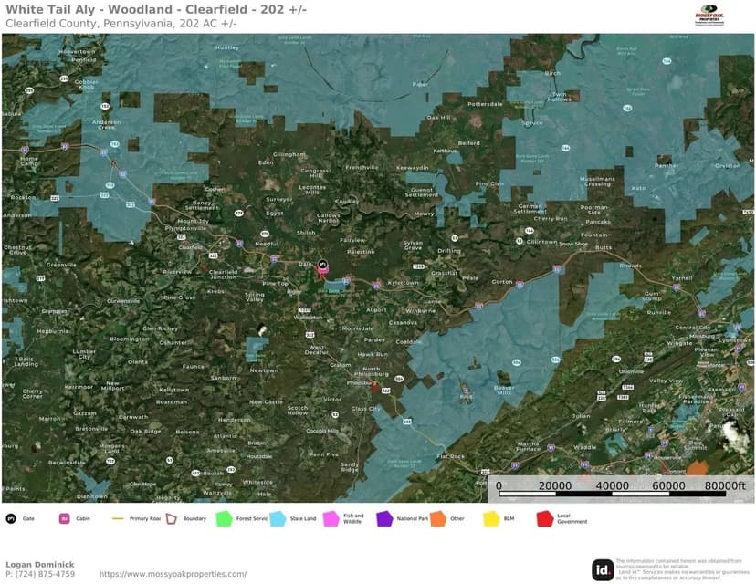 White Tail Aly - Woodland - Clearfield - 202 +/-