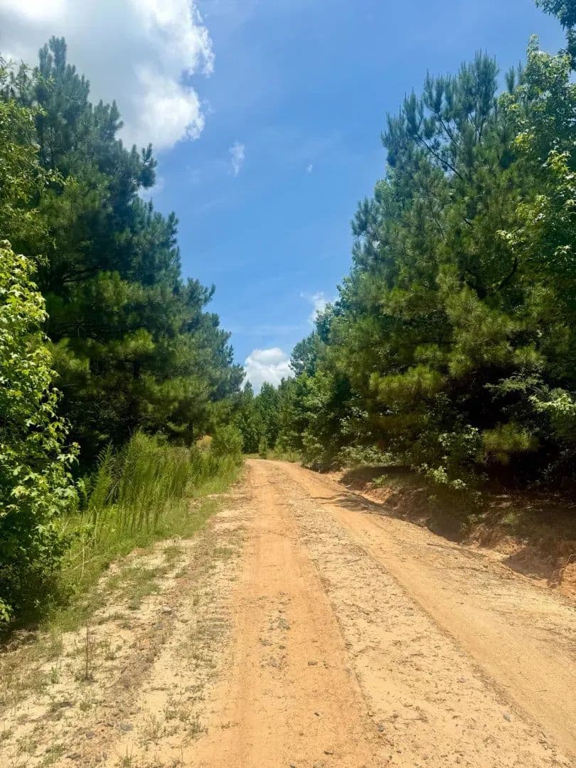 Union Grove Road Tract, Natchitoches Parish, LA, 60 +/- acres