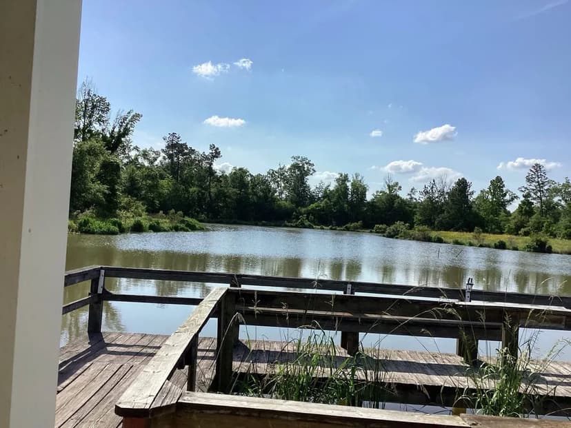 Lumas Road Tract, Beauregard Parish, 80 Acres ≠