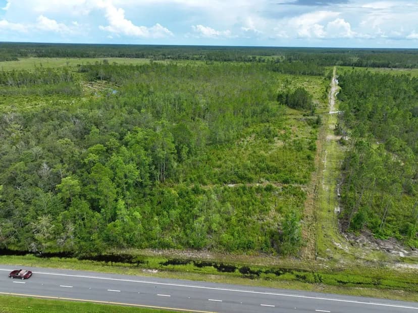 150+/- Ac Hwy 84 Willow Creek Tract in Clinch County