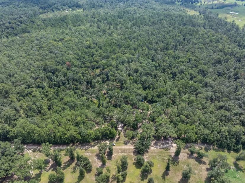 Nature's Lovers Retreat on 29 Acres