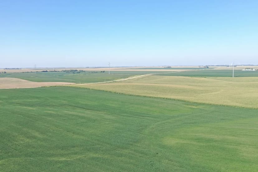 81.56+/- Dryland Acres in Franklin County, NE