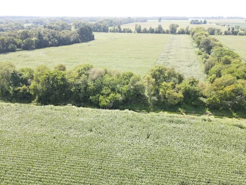 60 +/- ACRES / NEWTON COUNTY / TILLABLE / RECREATIONAL / LAND FOR SALE
