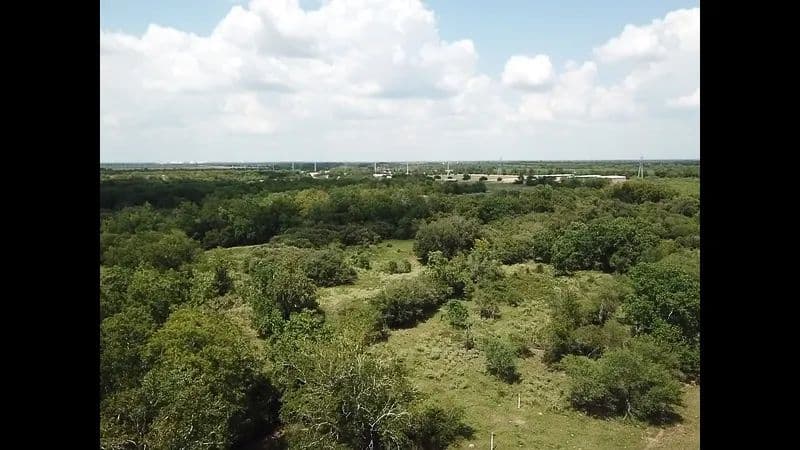 130 Acres Commercial Hwy 36, Sealy, TX