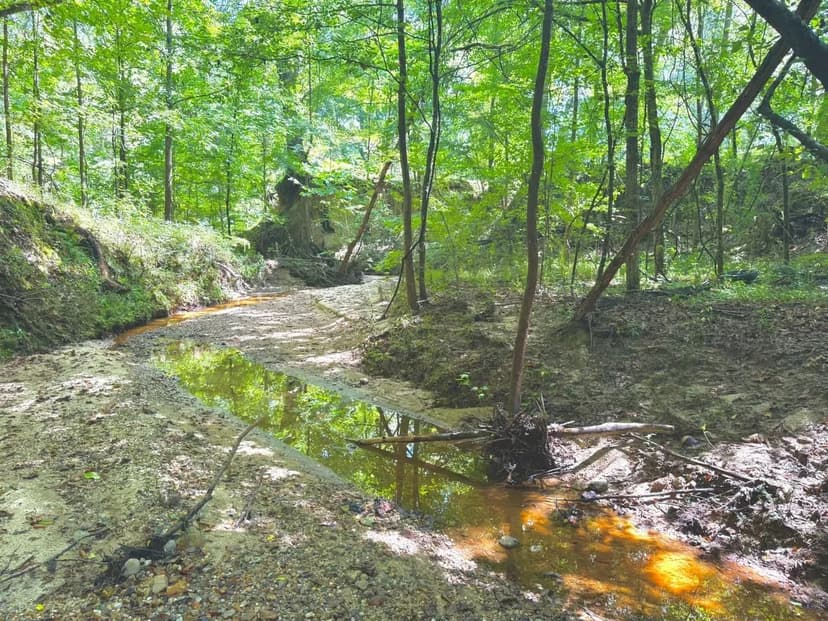 36.5+/- Acres, Hairston 36