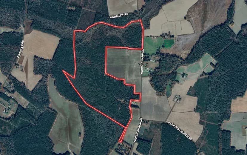 UNDER CONTRACT!!  149 Acres of Recreational Timber Land For Sale in Gates County NC!