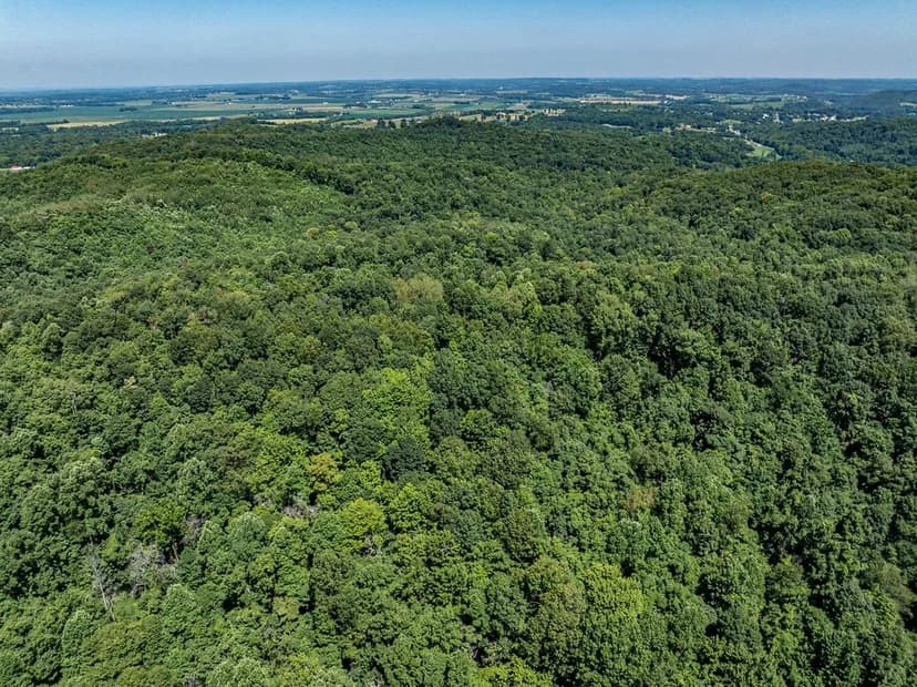 St Rt 327 - 467 Acres