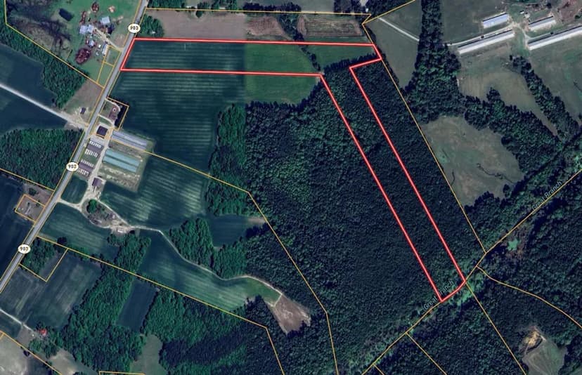 UNDER CONTRACT!! 24.17 +/- acres of Farm Land / Timber Land in Duplin County