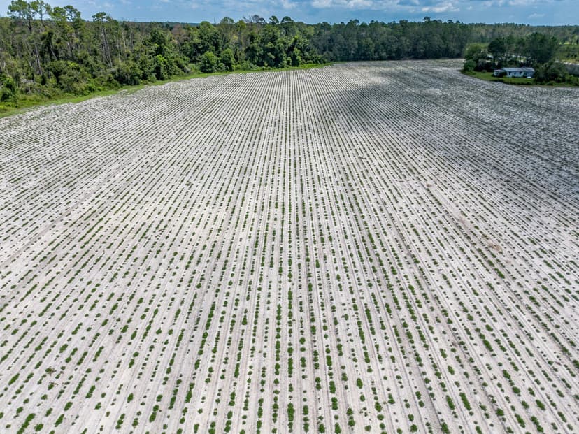 48+/- Acres - Golden Isles Highway & Hesters Road