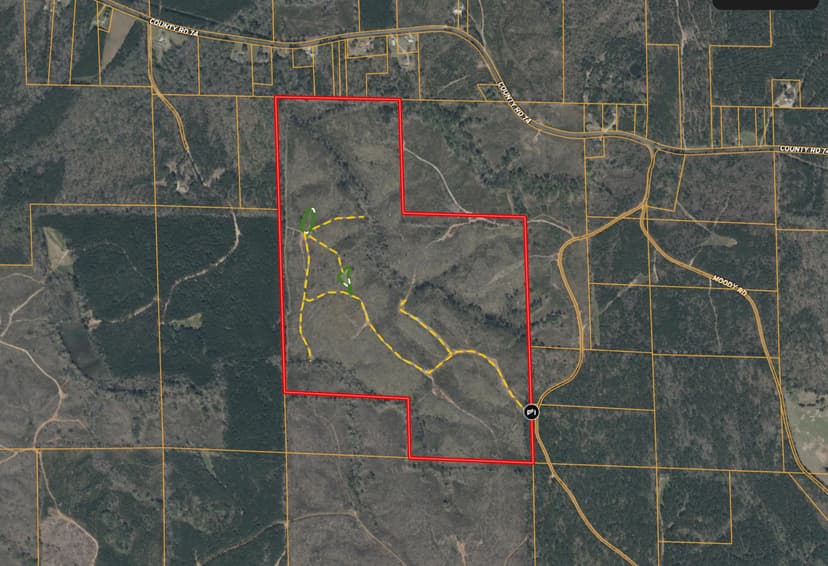 180 Acres in Pickens County, AL