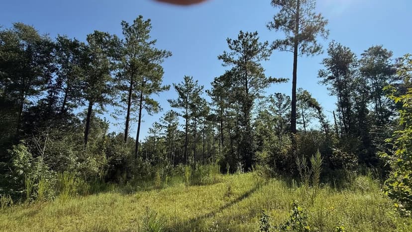 Snead Dale County Tract