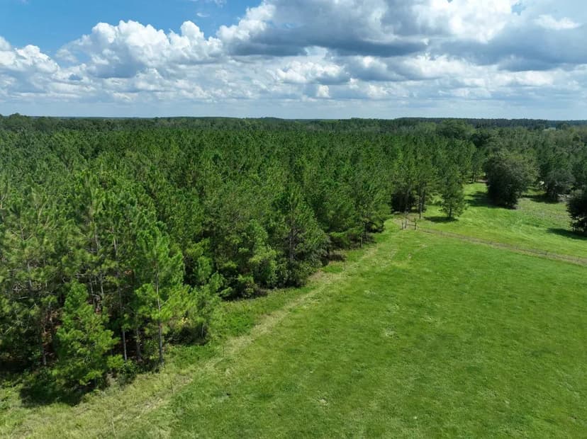 54.5 +/- Ac Scuffletown Rd