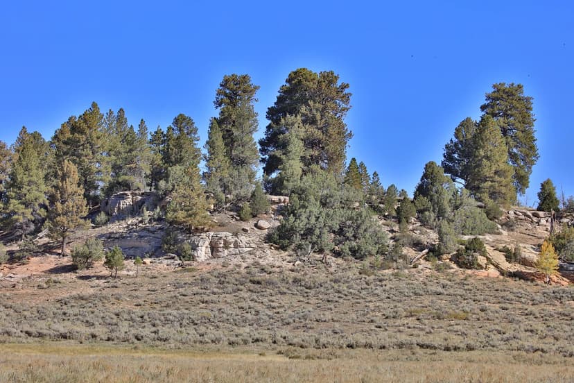 Hunting Property For Sale in Unit 61 Colorado