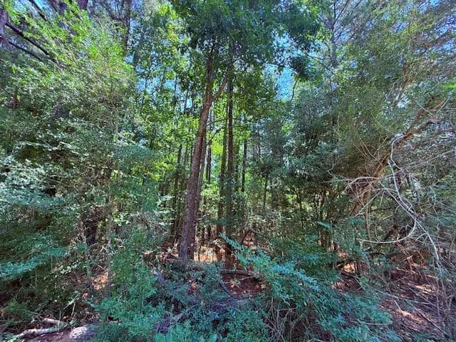 16 Acres | Tylertown, MS 