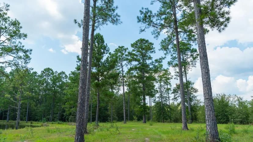 1182 Jacksonville Hwy