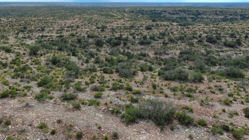 Top of the Rock Ranch 200 Acres in Crockett County, TX!