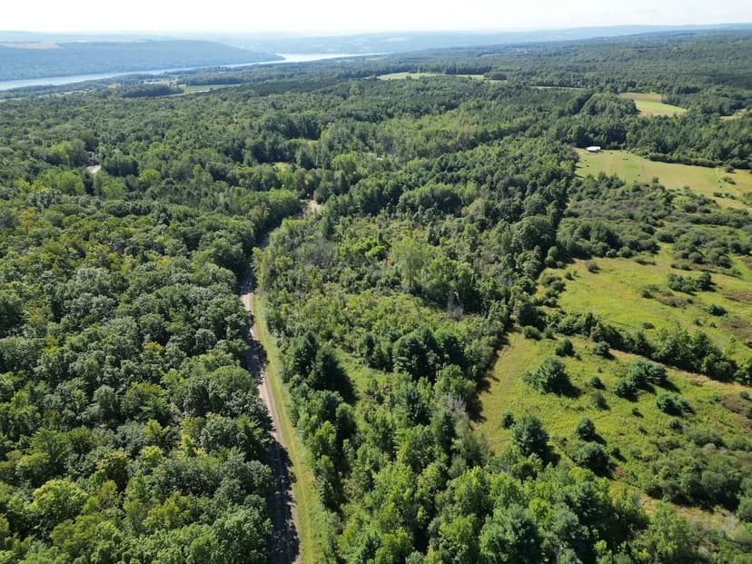 10 acre Wooded Building Lot near Keuka Lake and State Forest in Pulteney NY Wessie Road
