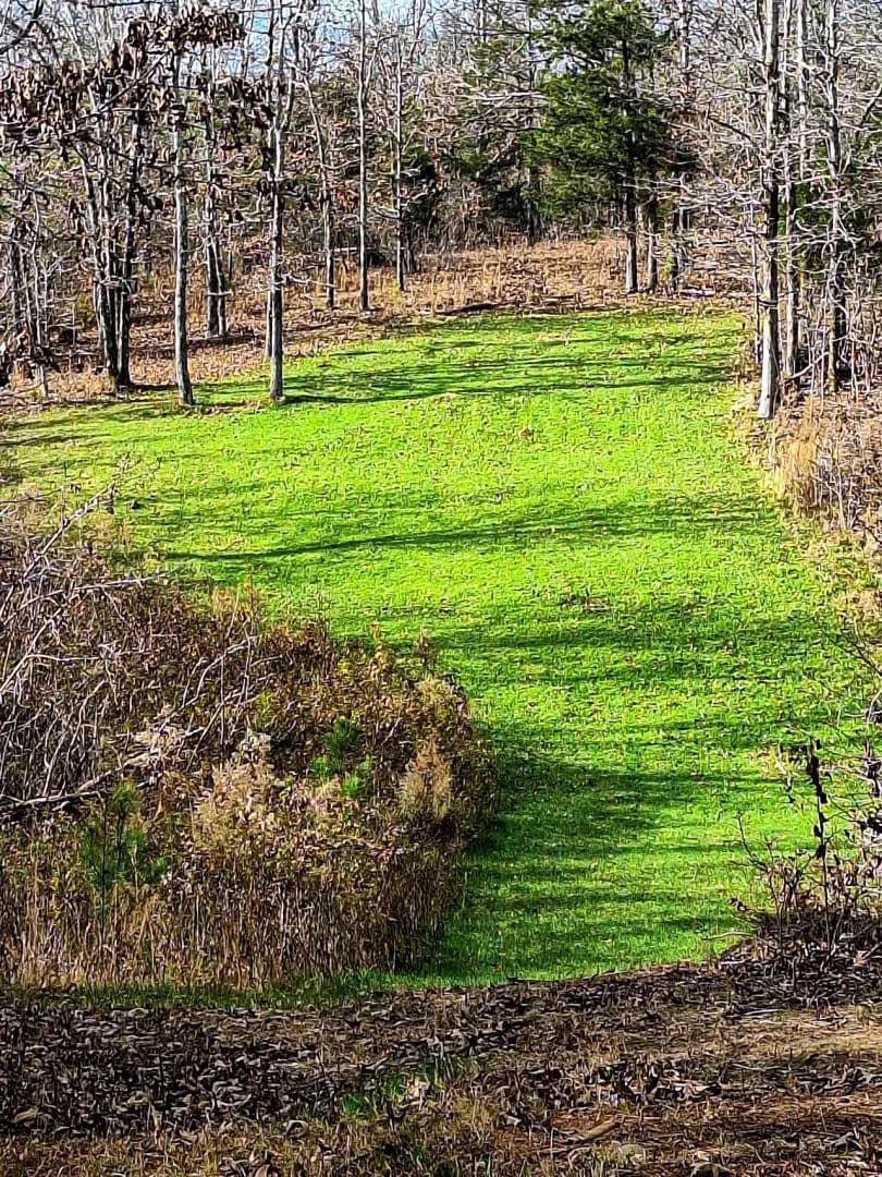 Whiteoak's, Whitetails, and Gobblers 161 Acres