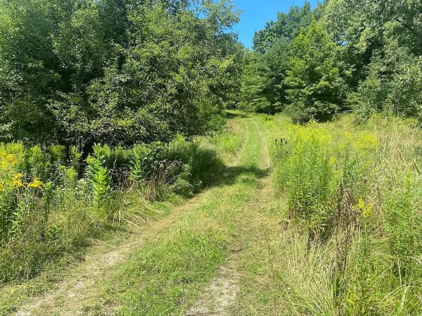 47 acres Cabin with Hunting Land in Scio NY Snowball Hollow Road