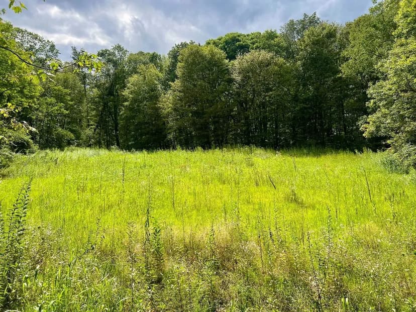 Keystone St., Somerset County - 130 +/- Acres