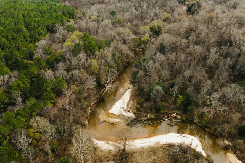 194 Acres in Newton County, MS 