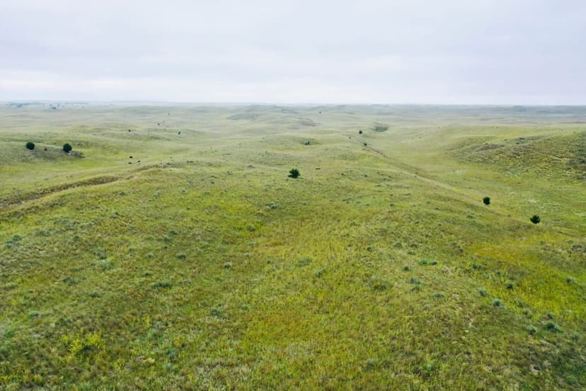 Downing County Line Rangeland