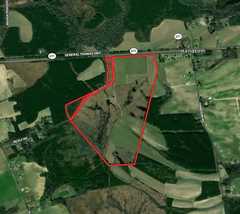 UNDER CONTRACT!!  132 Acres of Farm and Hunting Land for Sale in Southampton County VA!