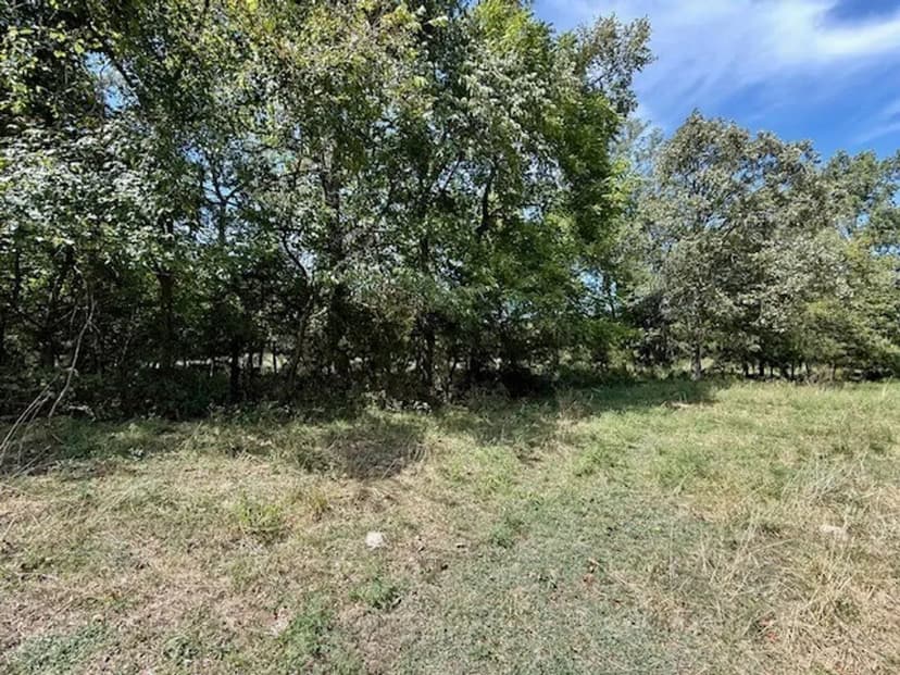 164 Acres, 2 Spring Fed Ponds, Private Off Of Paved Road