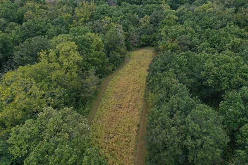 Iconic Van Buren County Home with 80M/L acres