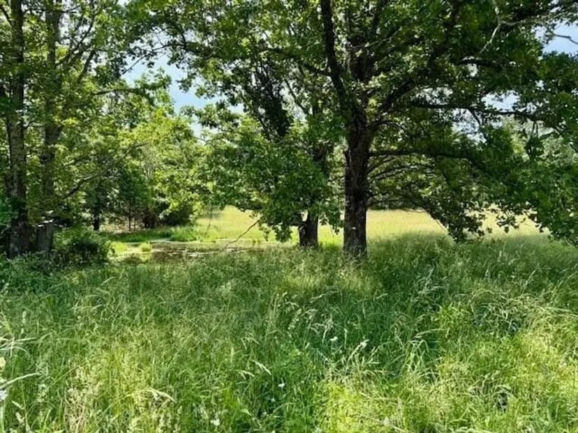 25 Acres, 4 Bed/2 Bath, Insulated Shop, Barn, Pasture Shannon County