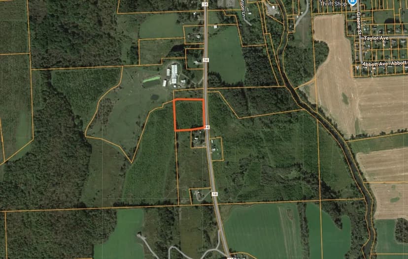 4 acres Land with Black Walnut Trees Earlville NY