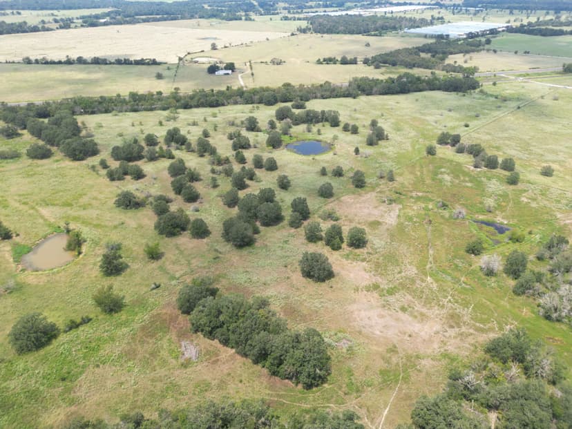 TBD FM 387 Marquez, TX 