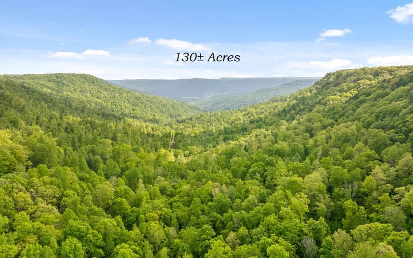  Escape to 130+/- ACRES in East Tennessee! 